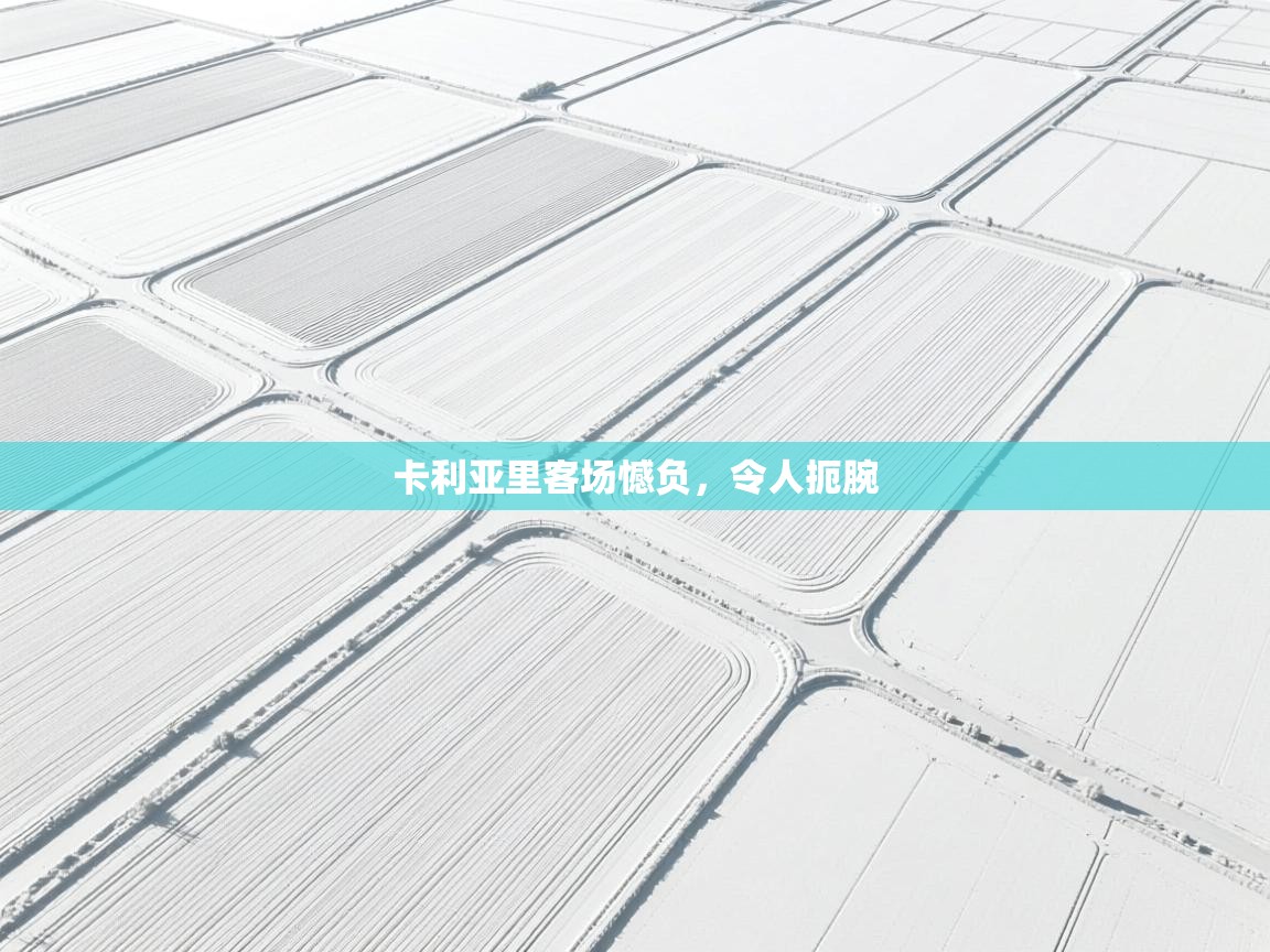 卡利亚里客场憾负，令人扼腕  第2张