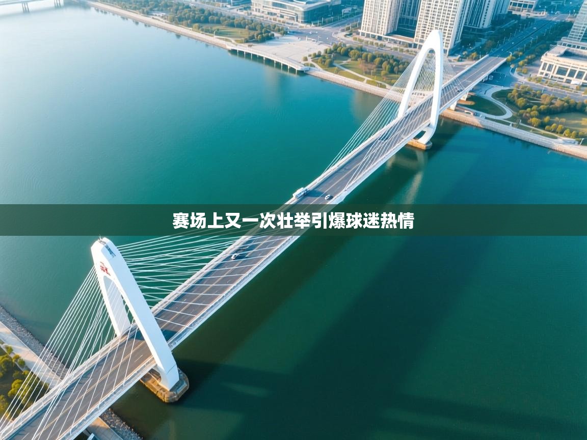 赛场上又一次壮举引爆球迷热情  第1张