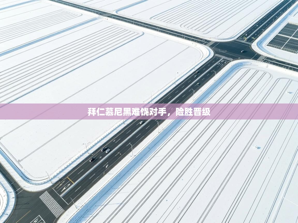 拜仁慕尼黑难饶对手，险胜晋级  第1张