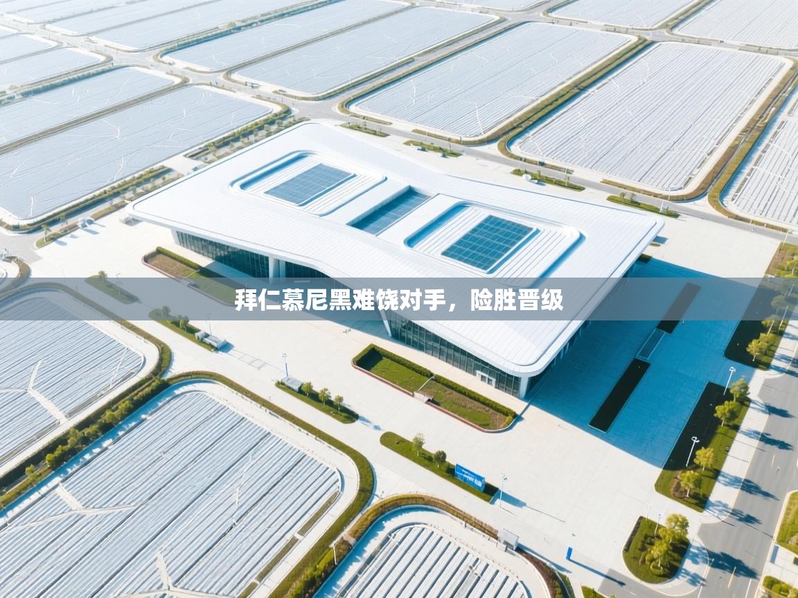 拜仁慕尼黑难饶对手，险胜晋级  第2张