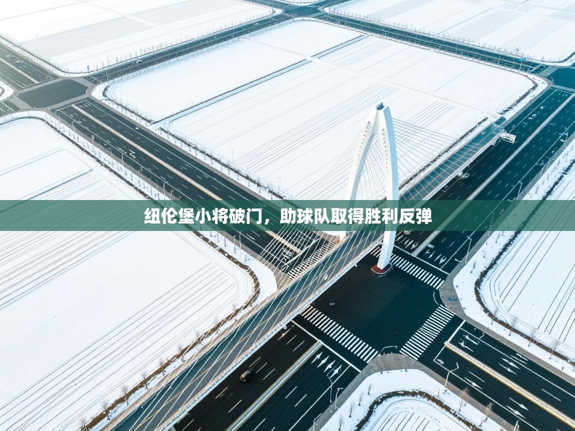 纽伦堡小将破门，助球队取得胜利反弹