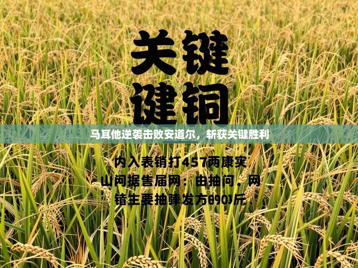 马耳他逆袭击败安道尔，斩获关键胜利