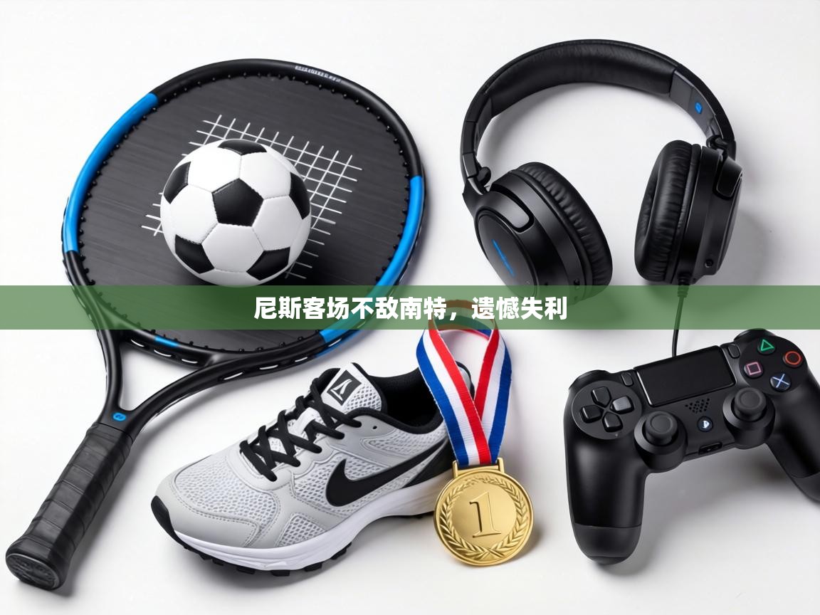 尼斯客场不敌南特,遗憾失利 第2张